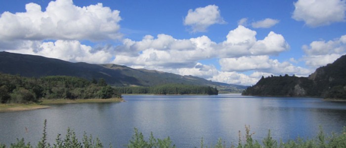 Parque Forestal Represa del Neusa 