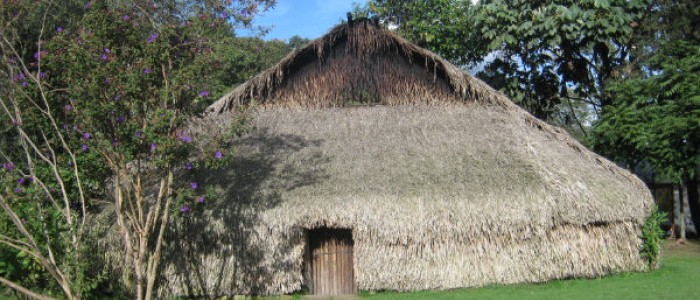 Jardín Botánico José Celestino Mutis